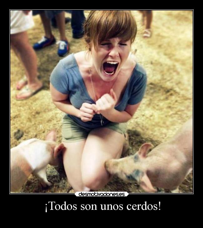 ¡Todos son unos cerdos! - 