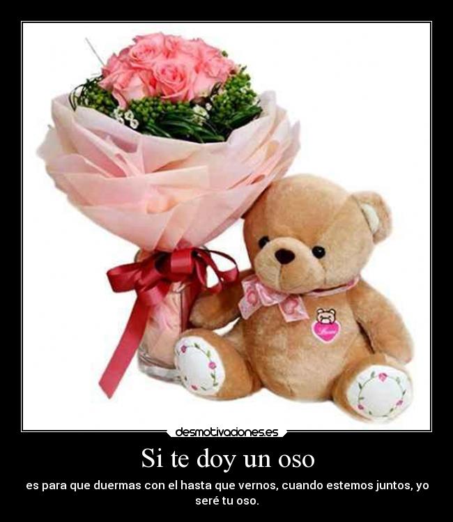 Si te doy un oso - 