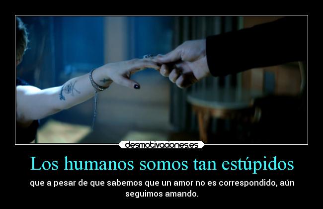 Los humanos somos tan estúpidos - 
