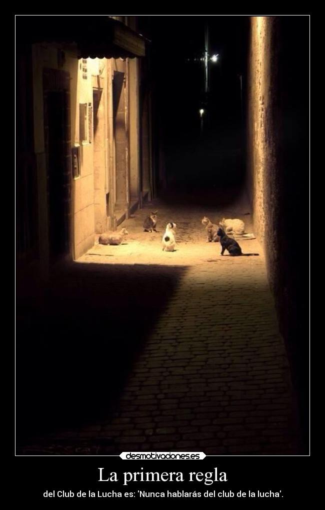 La primera regla - del Club de la Lucha es: Nunca hablarás del club de la lucha.