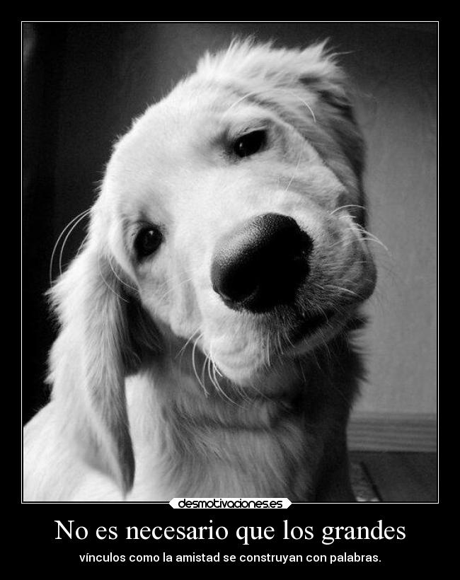 No es necesario que los grandes -