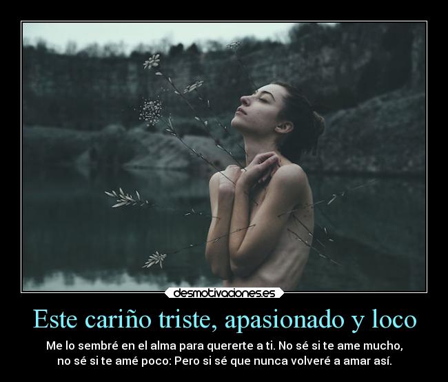 Este cariño triste, apasionado y loco - Me lo sembré en el alma para quererte a ti. No sé si te ame mucho,
no sé si te amé poco: Pero si sé que nunca volveré a amar así.