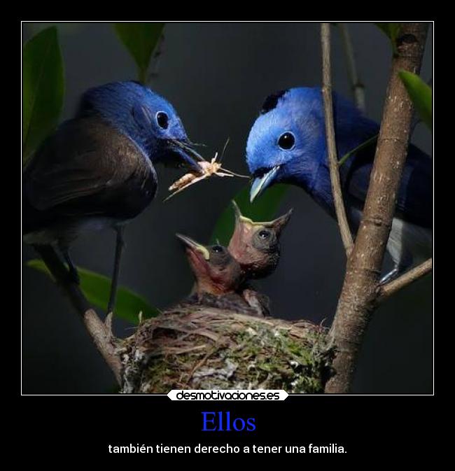 Ellos -