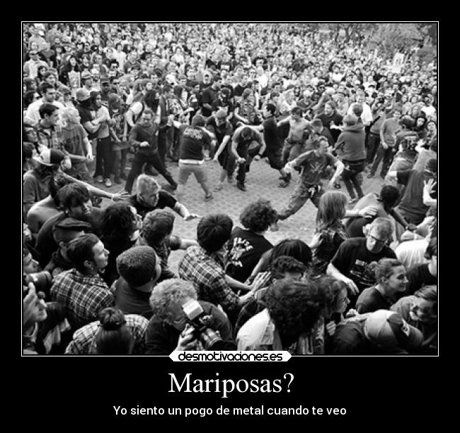 Mariposas? -