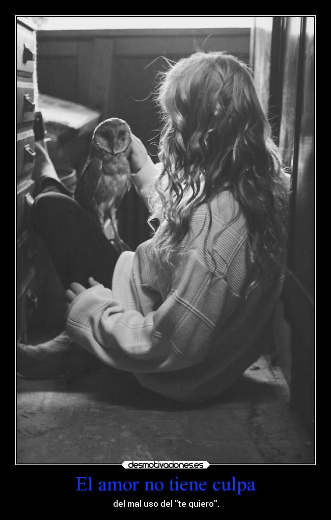 El amor no tiene culpa - 