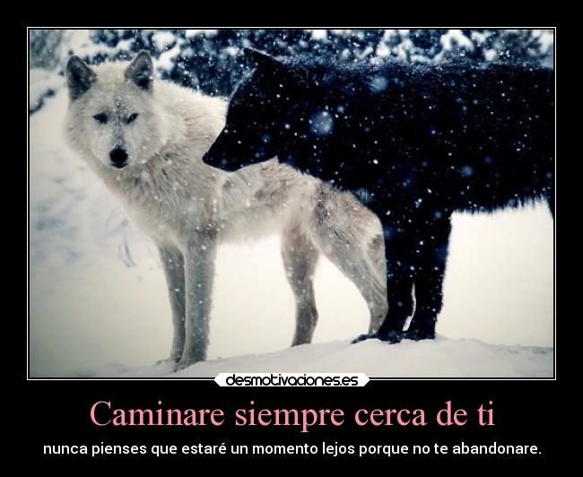Caminare siempre cerca de ti - 