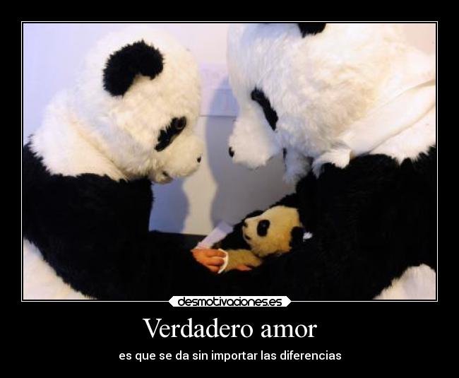 Verdadero amor - es que se da sin importar las diferencias