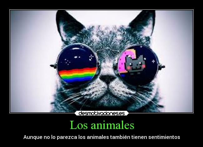 Los animales -