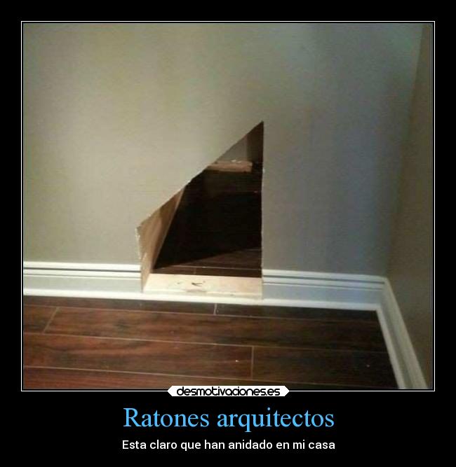 Ratones arquitectos - 