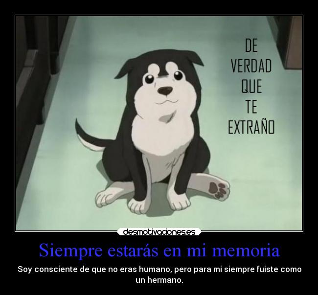 Siempre estarás en mi memoria - Soy consciente de que no eras humano, pero para mi siempre fuiste como
un hermano.