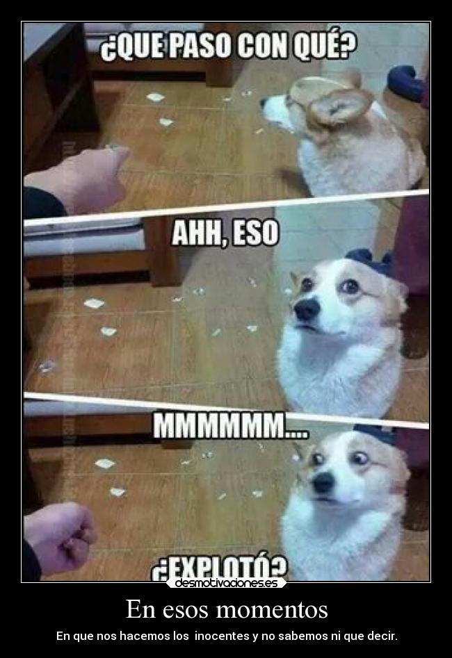 En esos momentos - En que nos hacemos los inocentes y no sabemos ni que decir.
