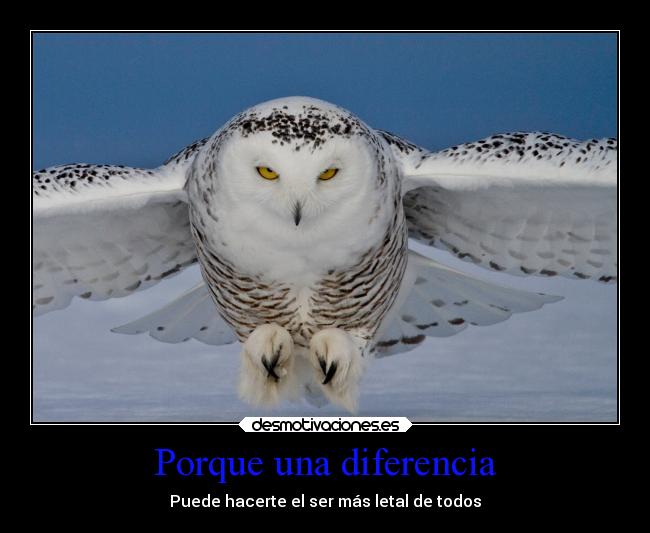 Porque una diferencia - 