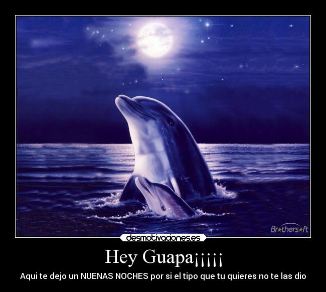 carteles animales desmotivaciones