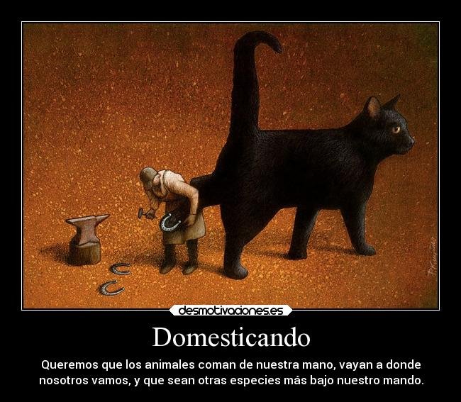 Domesticando - Queremos que los animales coman de nuestra mano, vayan a donde
nosotros vamos, y que sean otras especies más bajo nuestro mando.
