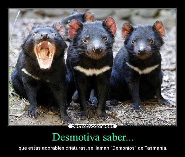 Desmotiva saber... -