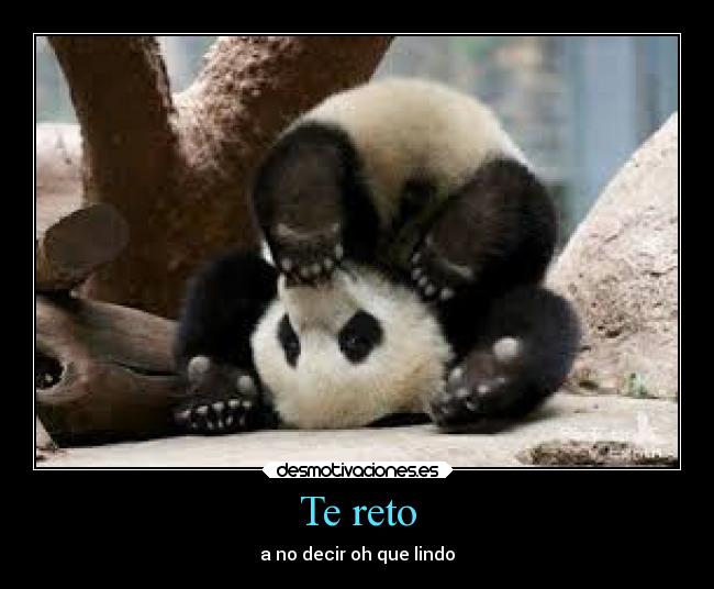 Te reto -