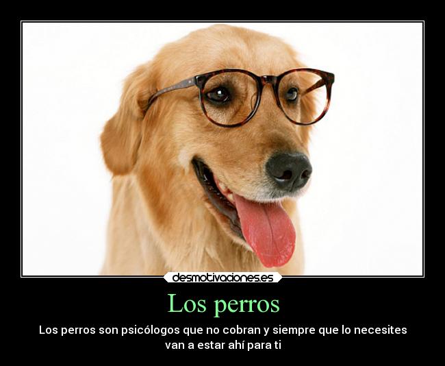 Los perros - 