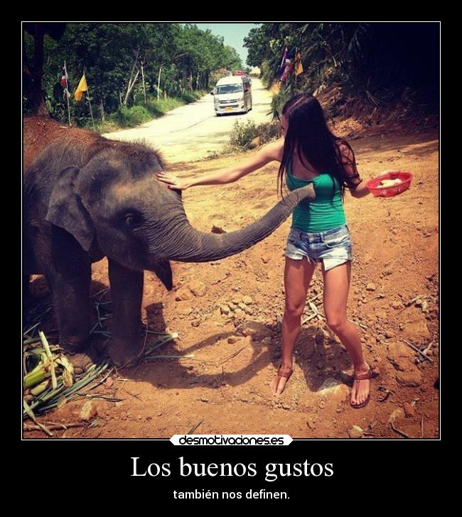 Los buenos gustos -