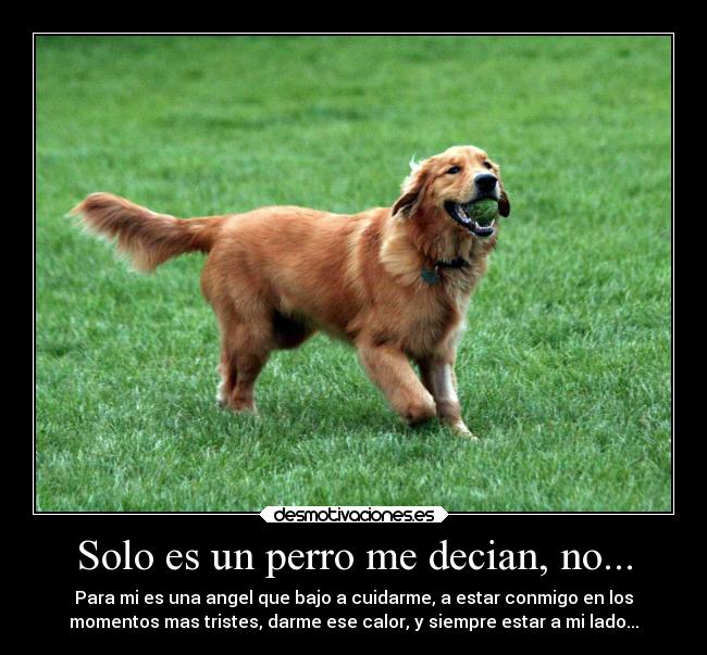 Solo es un perro me decian, no... -