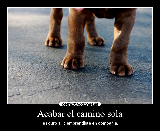 Acabar el camino sola -