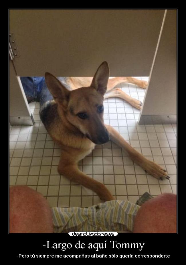 -Largo de aquí Tommy - -Pero tú siempre me acompañas al baño sólo quería corresponderte