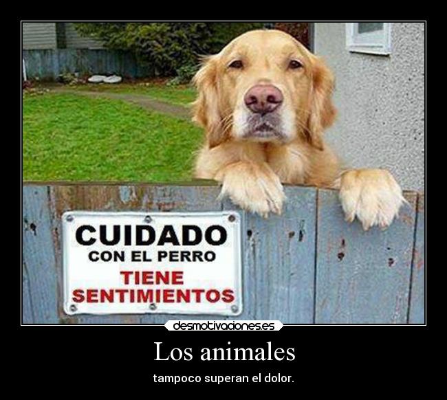 Los animales -