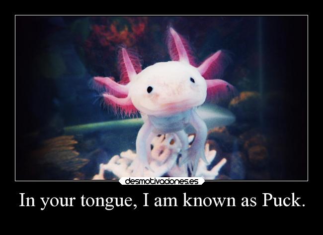 In your tongue, I am known as Puck. - 