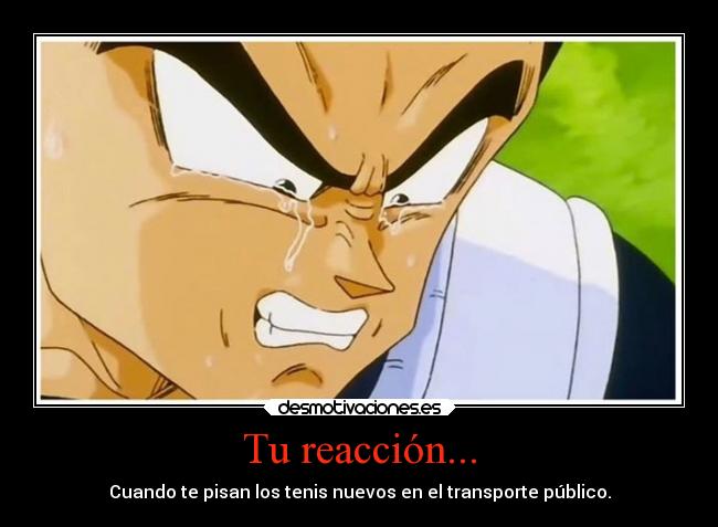 Tu reacción... - 