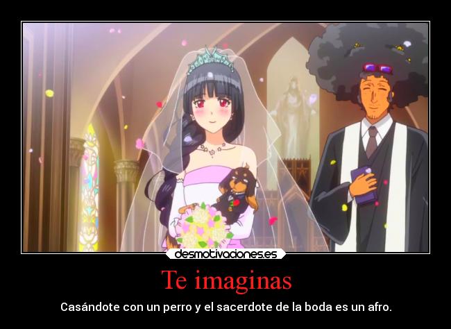 Te imaginas - Casándote con un perro y el sacerdote de la boda es un afro.