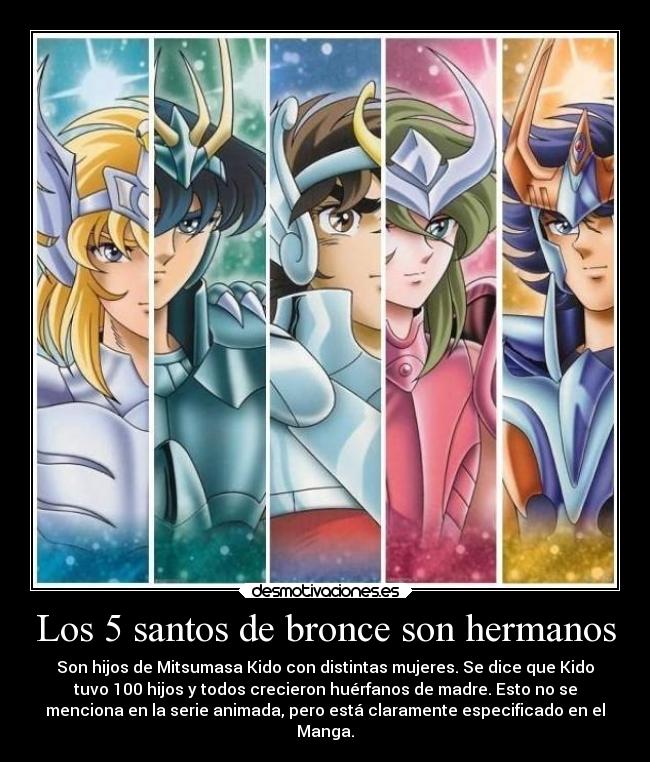 Los 5 santos de bronce son hermanos - Son hijos de Mitsumasa Kido con distintas mujeres. Se dice que Kido
tuvo 100 hijos y todos crecieron huérfanos de madre. Esto no se
menciona en la serie animada, pero está claramente especificado en el
Manga.