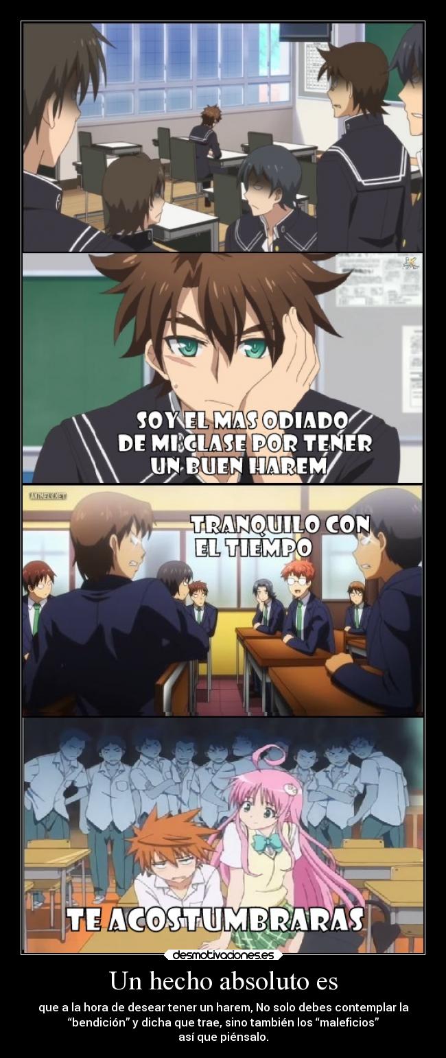 Un hecho absoluto es - que a la hora de desear tener un harem, No solo debes contemplar la
“bendición” y dicha que trae, sino también los “maleficios”
así que piénsalo.