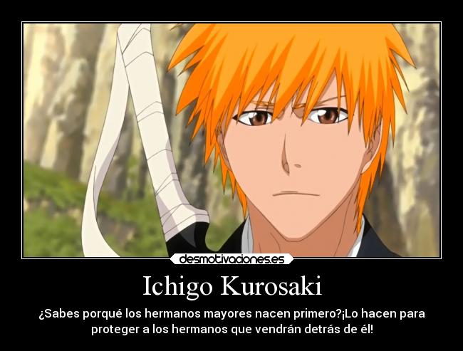 Ichigo Kurosaki -
