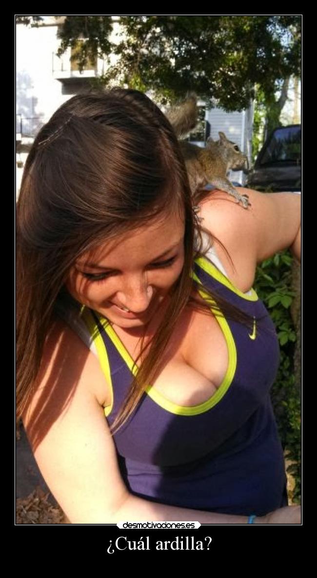 ¿Cuál ardilla? - 