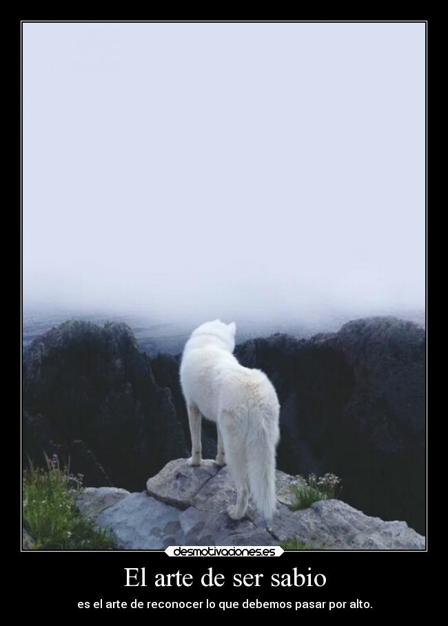 carteles arte frases sabiduria celebres desmotivaciones