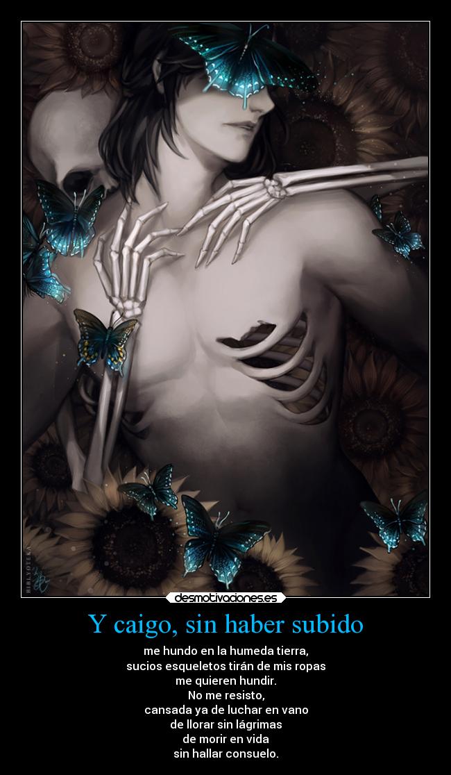 Y caigo, sin haber subido -