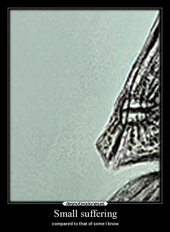 carteles arte slipkdemon megacartel desmotivaciones