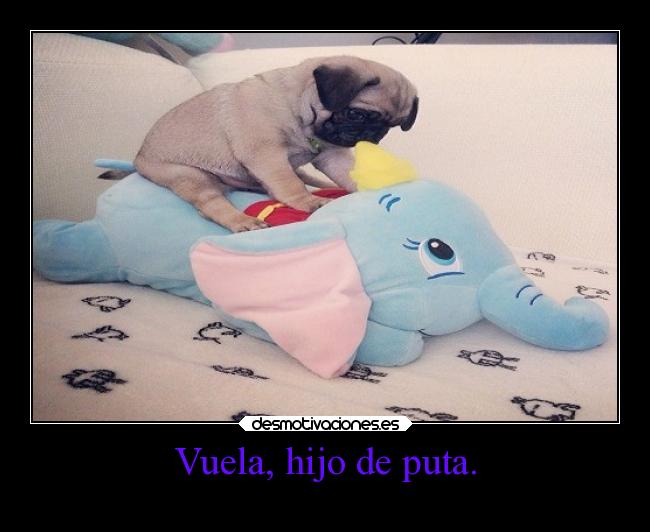 Vuela, hijo de puta. -