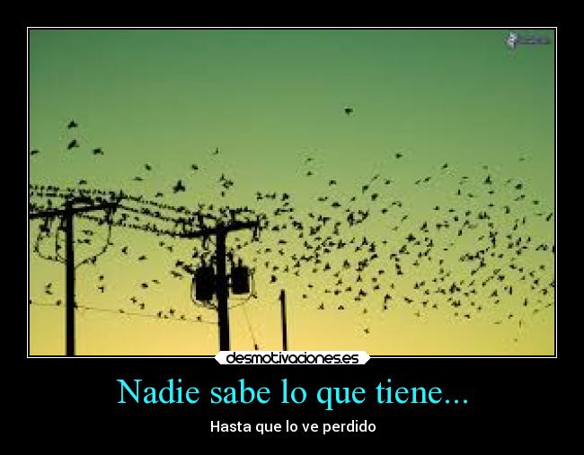 Nadie sabe lo que tiene... - 