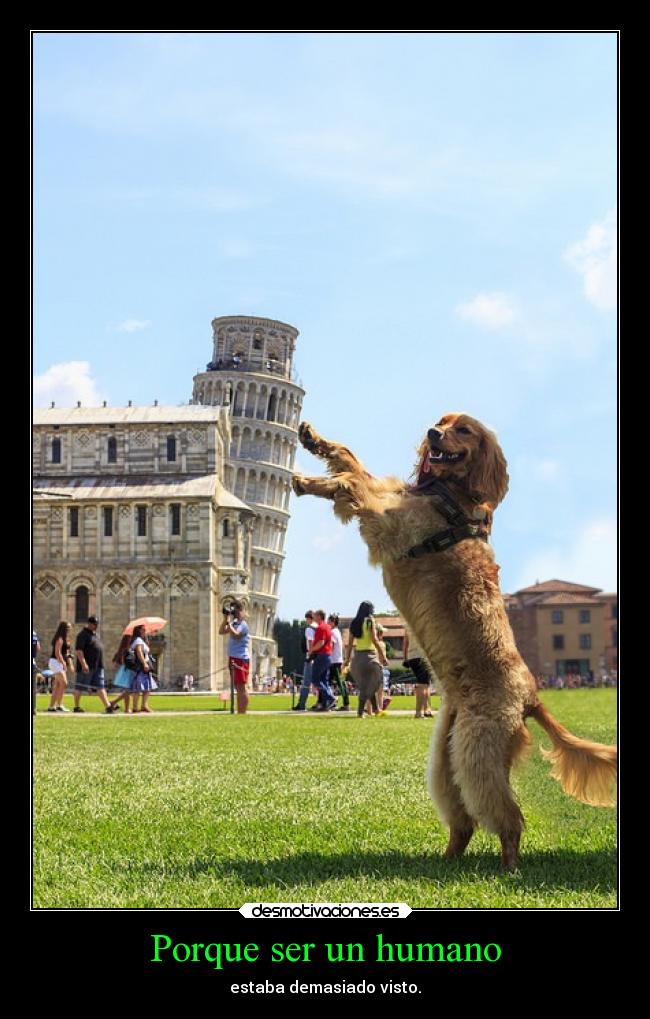 Porque ser un humano - 