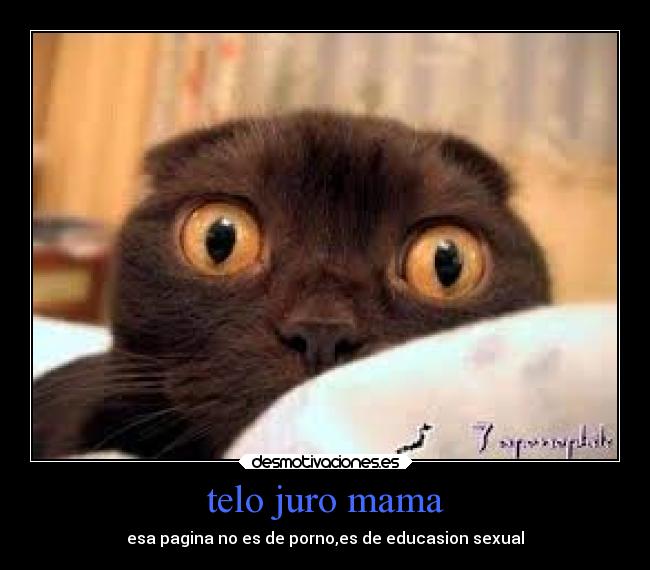 telo juro mama - 