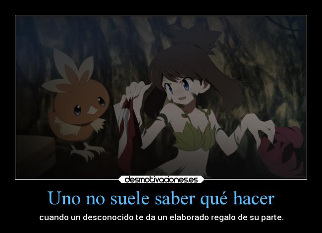 carteles ayuda fisico mujer pokemon devilbrigade special adventures manga odamaki sapphire birch torchic ropa desmotivaciones