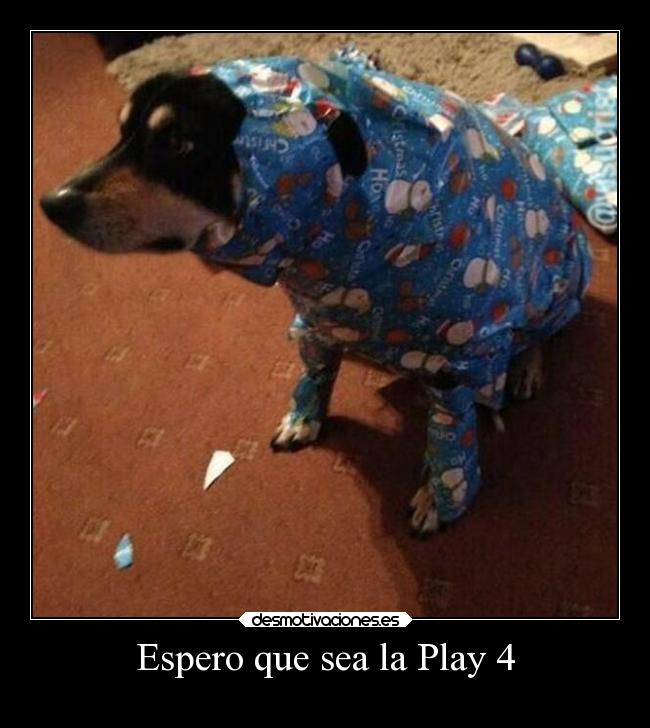 carteles bogota humor eften perrosmolnmasquegatos perros desmotivaciones