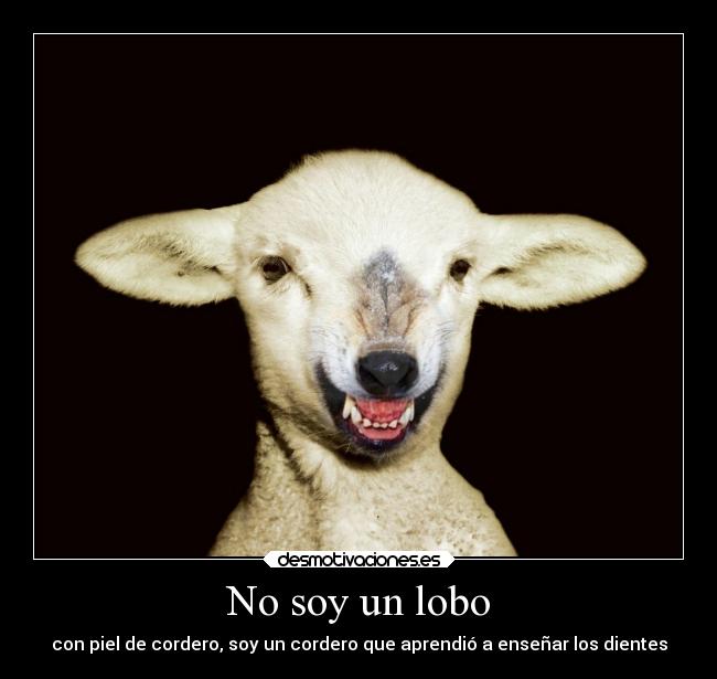 No soy un lobo - con piel de cordero, soy un cordero que aprendió a enseñar los dientes