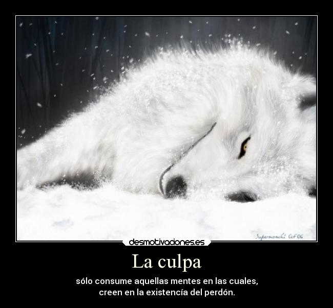 carteles caracter lobos culpa vongolaring perdon guiltycrown23 mentes shingekinokyojin23 desmotivaciones