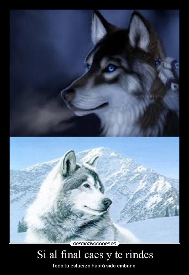 Si al final caes y te rindes - 