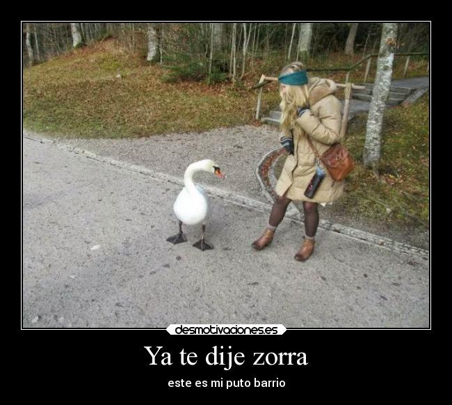 Ya te dije zorra - este es mi puto barrio