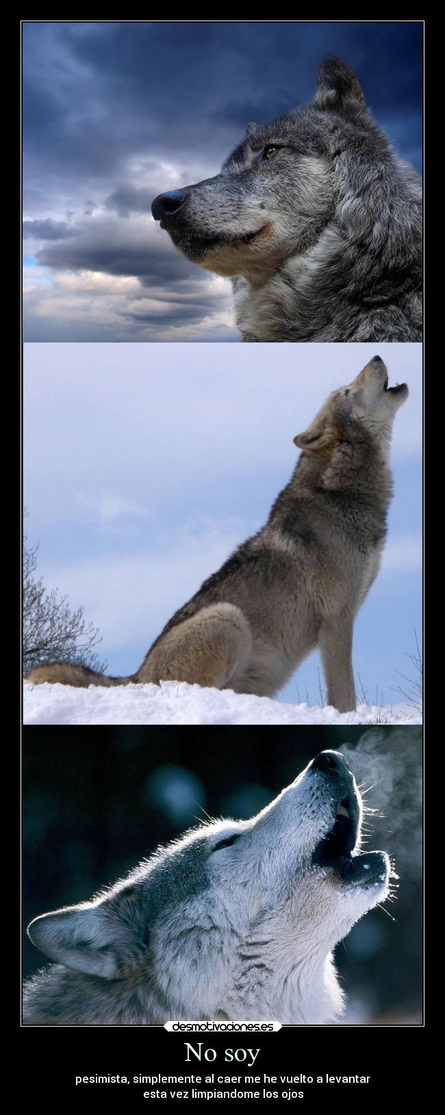 carteles caracter vongolaring lobos shingekinokyojin23 guiltycrown23 pesimistas caer desmotivaciones