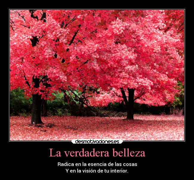 carteles caracter zakura bellaza vongolaring desmotivaciones