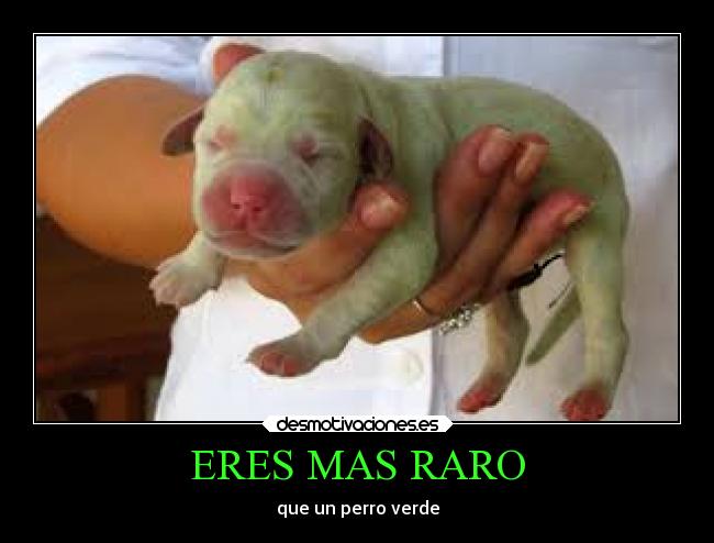 ERES MAS RARO - que un perro verde