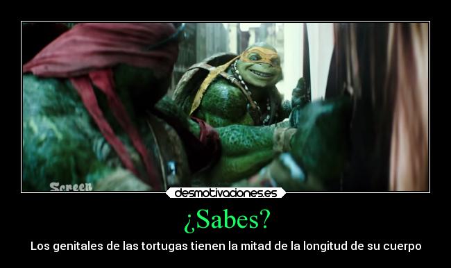 carteles cine tortugas ninja michelangelo raphael michael bay trailer honesto screen junkies desmotivaciones